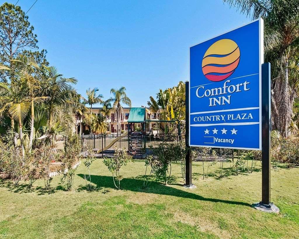 Country Plaza Motel Taree Zewnętrze zdjęcie